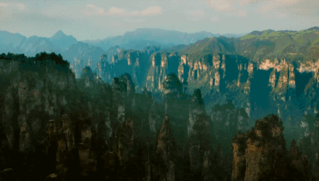 1593225621394439.gif 0.gif